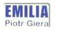firma-logo