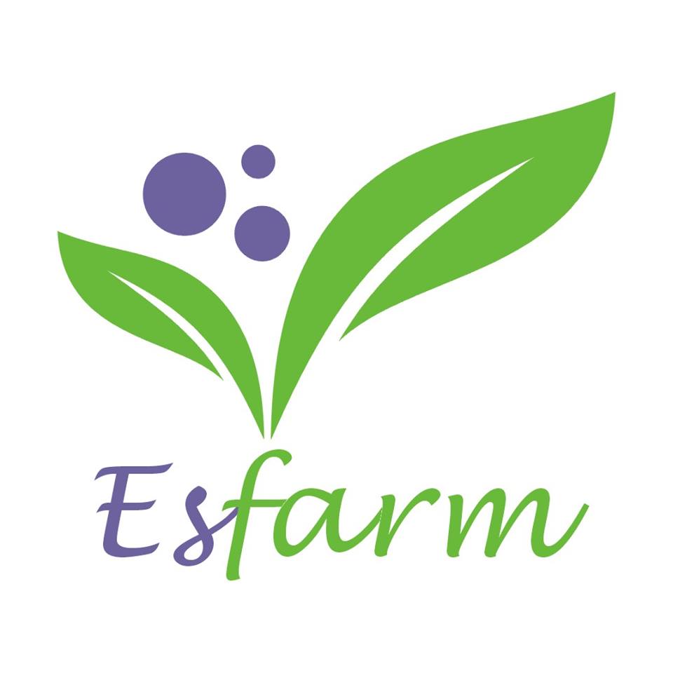 firma-logo