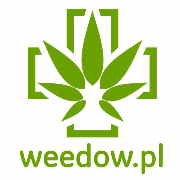 firma-logo